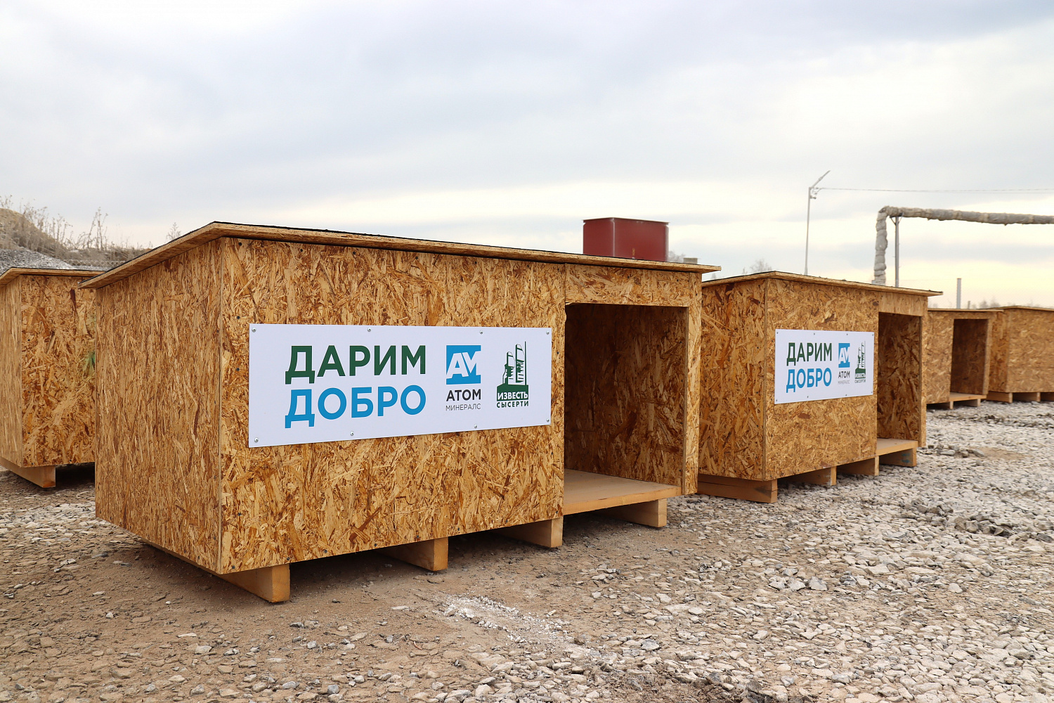 «ДАРИМ ДОБРО» – акция помощи приюту для бездомных животных «Мишутка»